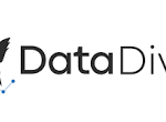 DataDive logo