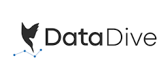 DataDive logo